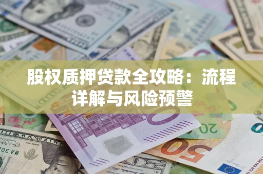 武汉股权质押贷款全攻略：流程详解与风险预警