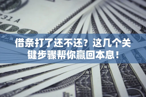 武汉借条打了还不还？这几个关键步骤帮你赢回本息！