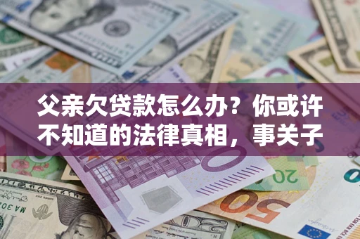 武汉父亲欠贷款怎么办？你或许不知道的法律真相，事关子女未来