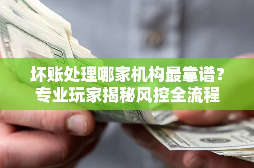 武汉坏账处理哪家机构最靠谱？专业玩家揭秘风控全流程