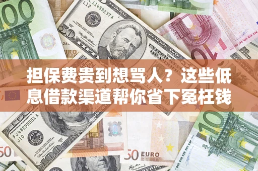 武汉担保费贵到想骂人？这些低息借款渠道帮你省下冤枉钱