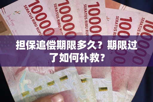 武汉担保追偿期限多久？期限过了如何补救？