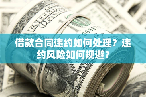 武汉借款合同违约如何处理？违约风险如何规避？