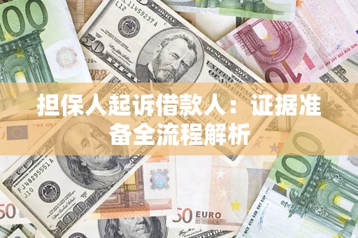 武汉担保人起诉借款人：证据准备全流程解析