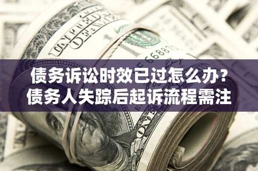 武汉债务诉讼时效已过怎么办？债务人失踪后起诉流程需注意什么？