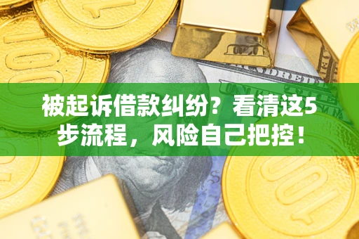 武汉被起诉借款纠纷？看清这5步流程，风险自己把控！
