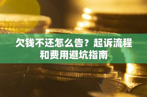 武汉欠钱不还怎么告？起诉流程和费用避坑指南