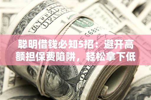 武汉聪明借钱必知5招：避开高额担保费陷阱，轻松拿下低息贷款