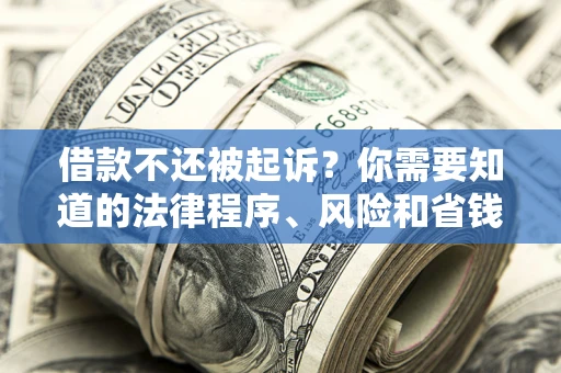 武汉借款不还被起诉？你需要知道的法律程序、风险和省钱技巧