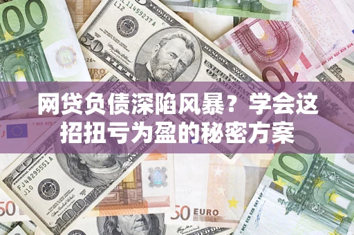 武汉网贷负债深陷风暴？学会这招扭亏为盈的秘密方案