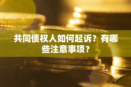 武汉共同债权人如何起诉？有哪些注意事项？